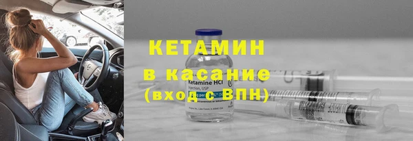 индика Богородицк
