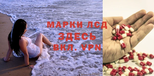 индика Богородицк