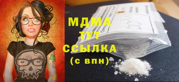 индика Богородицк