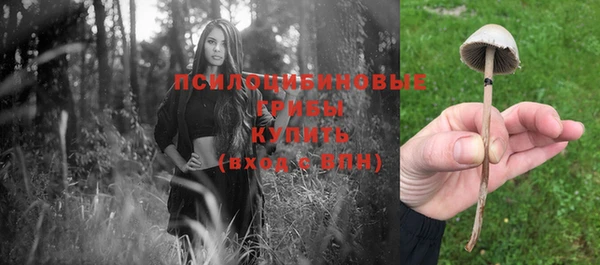 эйфоретик Богородск