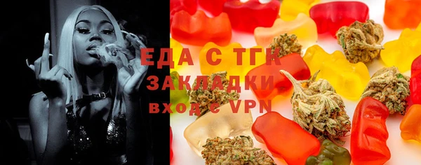 индика Богородицк