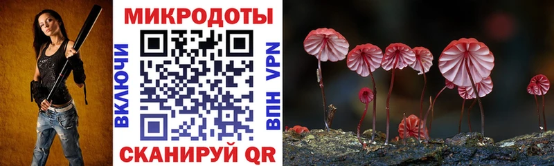 где купить наркотик  Мостовской  Галлюциногенные грибы Psilocybine cubensis 